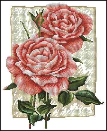 CMP 170196 Cottage Roses In Bloom