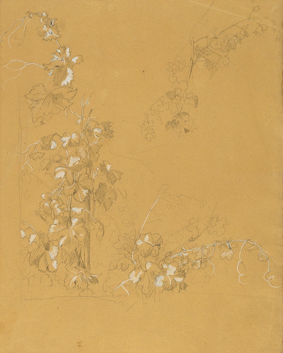 Weinstock Studie zu Hermann und Dorothea im Weinberg before 1840