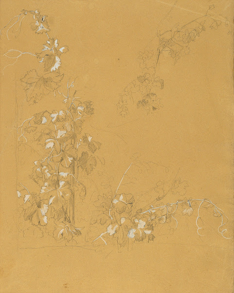 Weinstock Studie zu Hermann und Dorothea im Weinberg before 1840