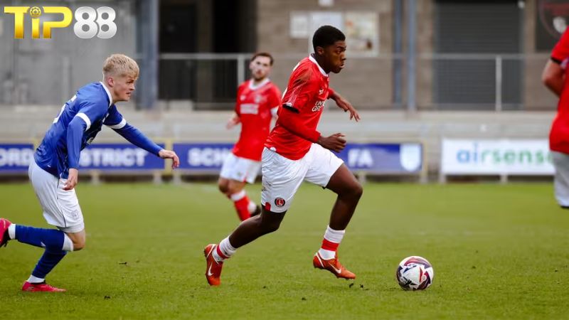 Lịch sử đối đầu Norwich City vs Charlton Athletic