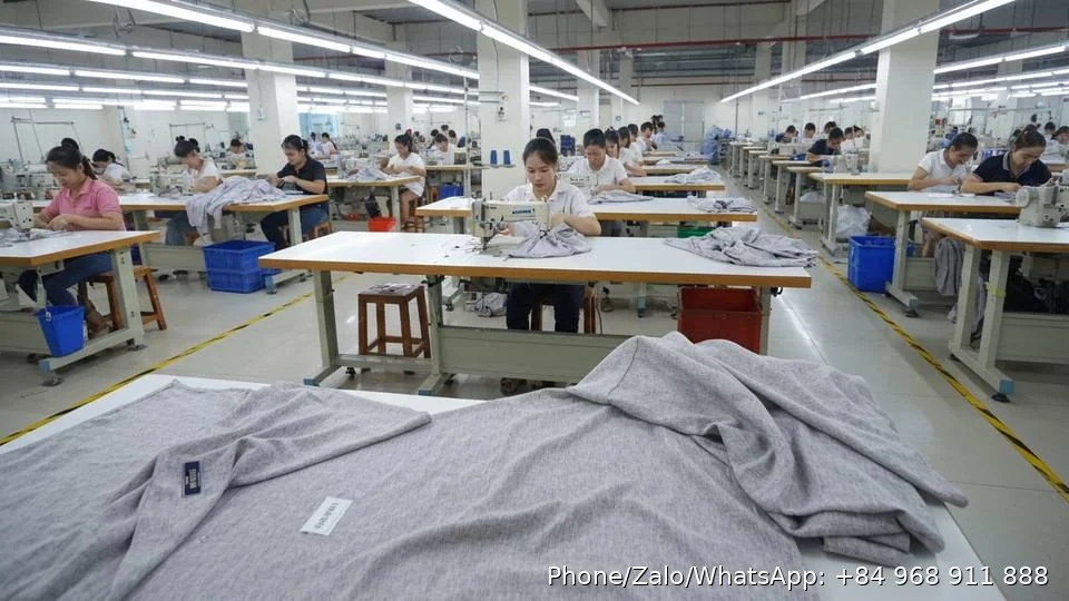 women clothing wholesale suppliers - Gold Garment Vietnam