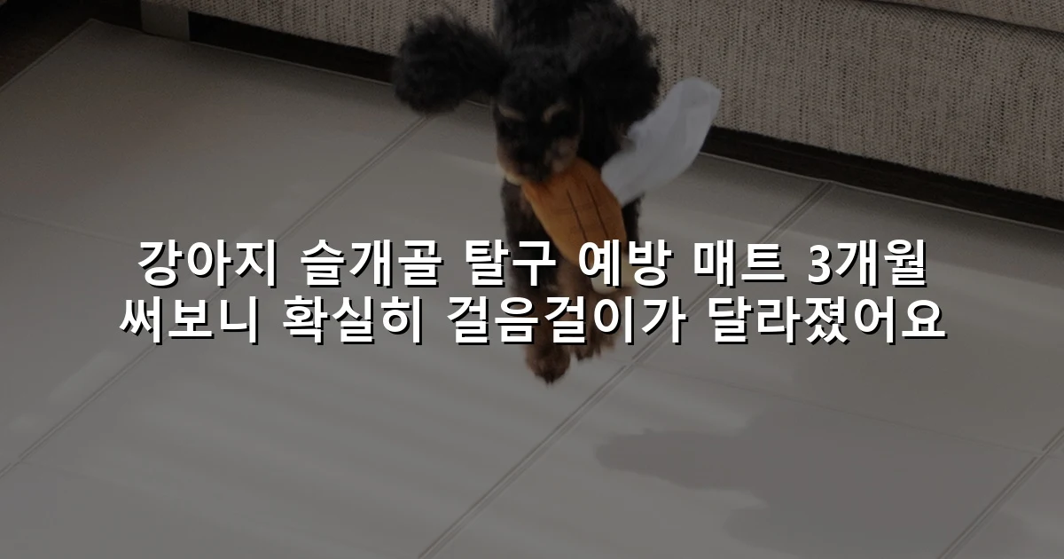 강아지 슬개골 탈구 예방 매트 3개월 써보니 확실히 걸음걸이가 달라졌어요