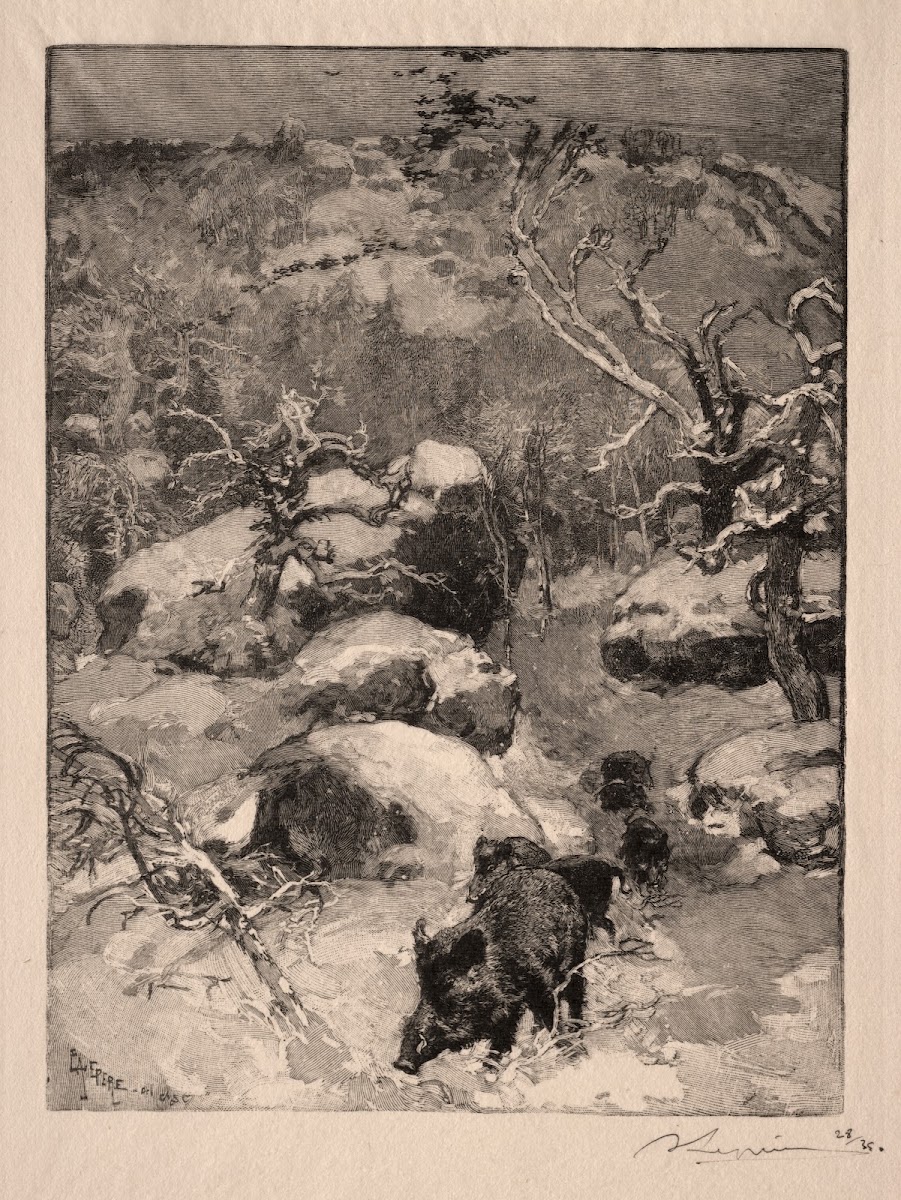 Roche Cuvier Chatillon 1887