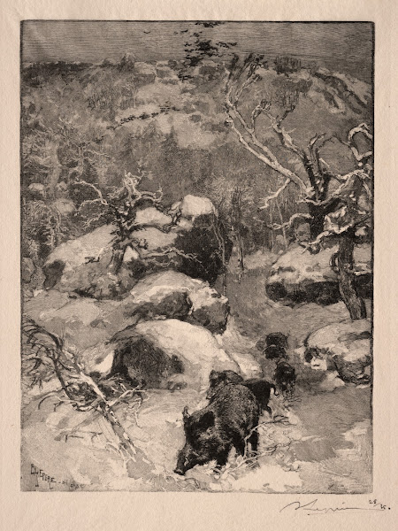 Roche Cuvier Chatillon 1887