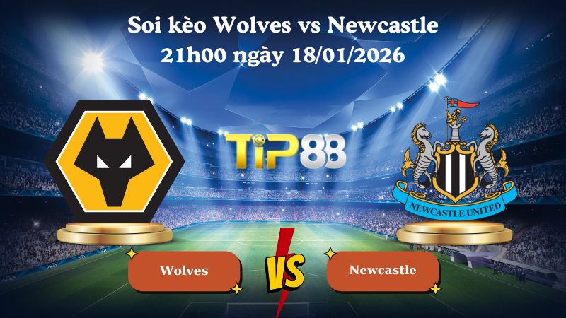 soi kèo Wolves vs Newcastle 21h00 ngày 18/01/2026