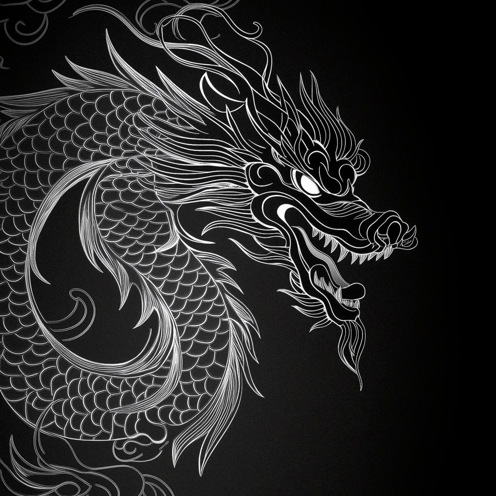 Download Majestic White Dragon Line Art 2K iPhone