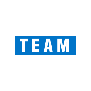 TEAM INDUSTRIAL SERVICES Logo