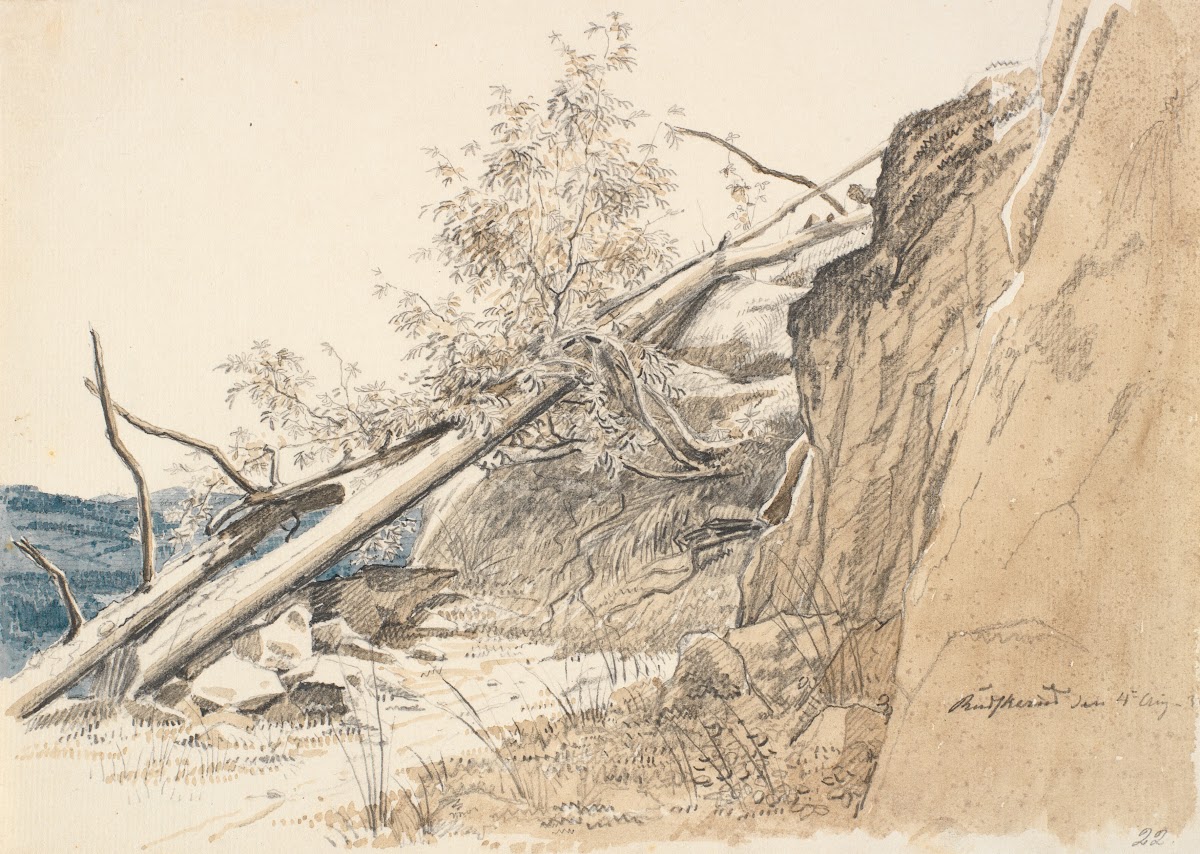Tree Trunk Leaning Against a Rock Norway 1830