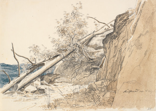 Tree Trunk Leaning Against a Rock Norway 1830