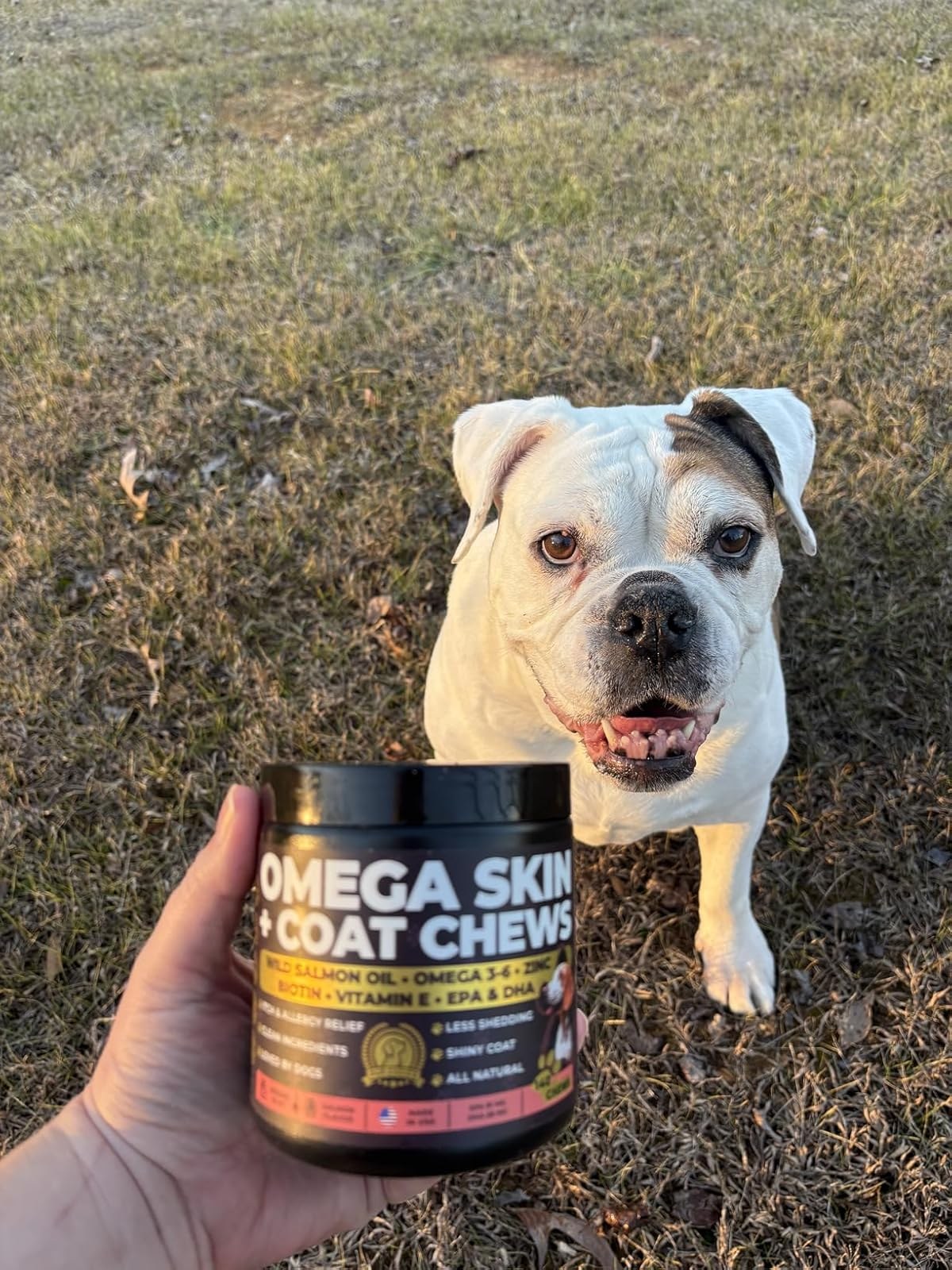 Pup Choice Omega 3 Skin & Coat customer-style product photo for seasonal skin support