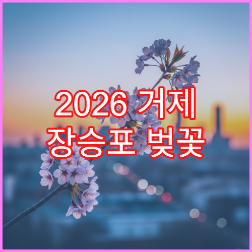 2026 거제 장승포 벚꽃 주말 인파 앱 실시간 확인하고 방문하기