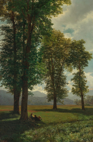 Sonnige Au Sunny Meadow