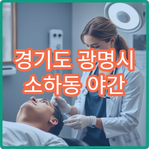 경기도 광명시 소하동 야간 비뇨의학과 병원 심야 진료