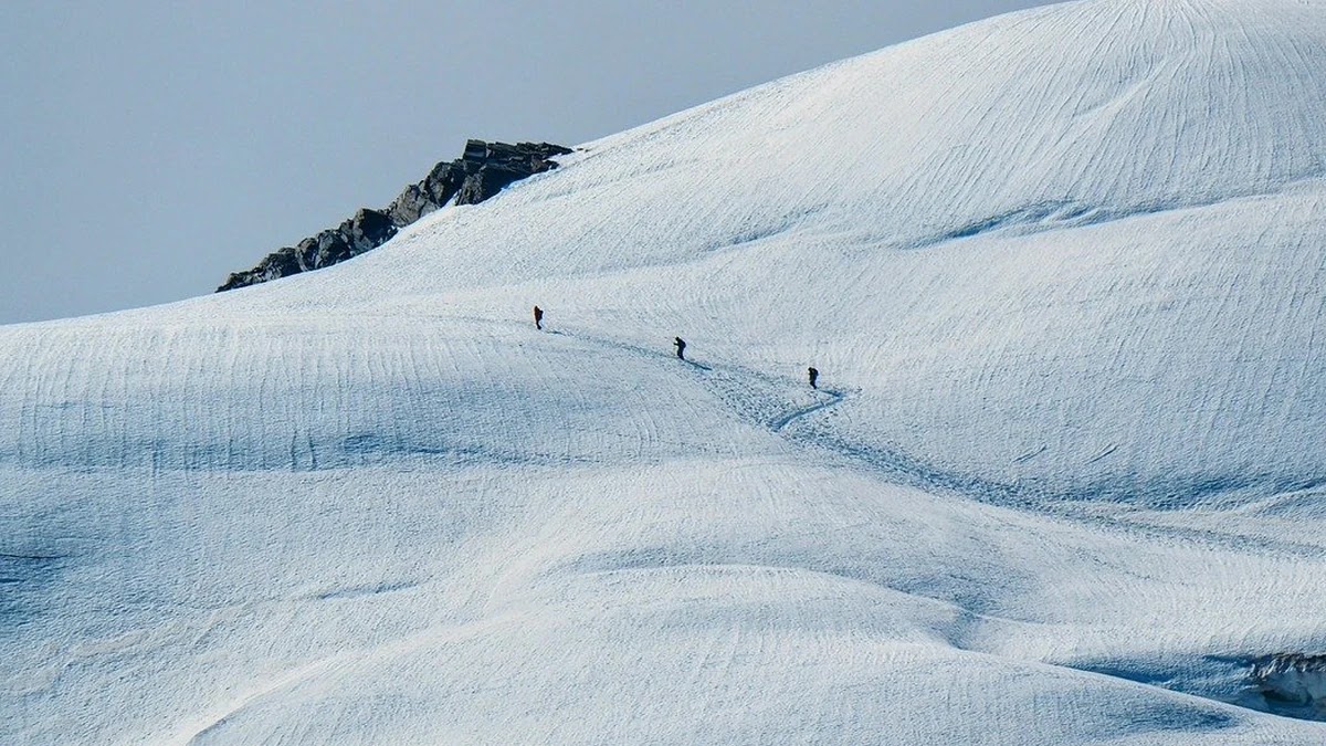 은행별 이체 수수료 비교와 무료 면제 조건 정리