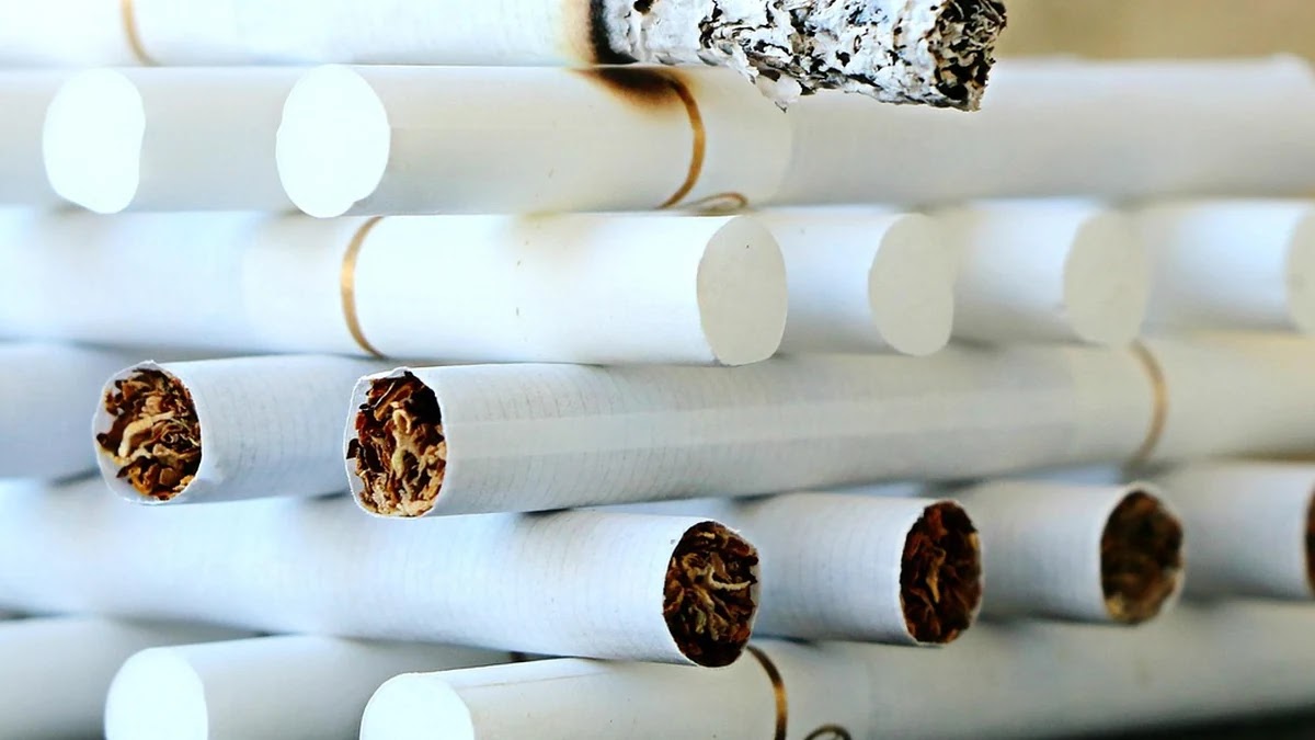 선진국과 신흥국 ETF, 리스크 관리와 수익성 비교 전략