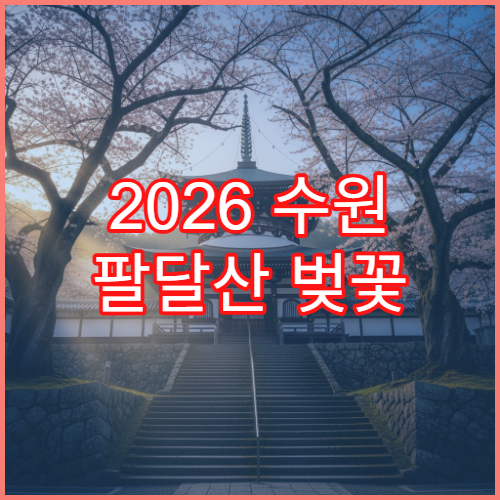 2026 수원 팔달산 벚꽃 개화 4월 초 만석공원 야경 명소 추천