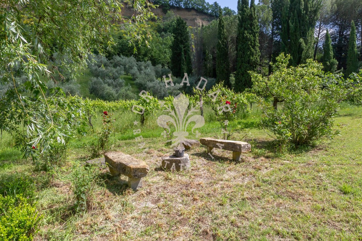 הבית מאחורי הגבעה (Il Casale dietro la Collina) — 17