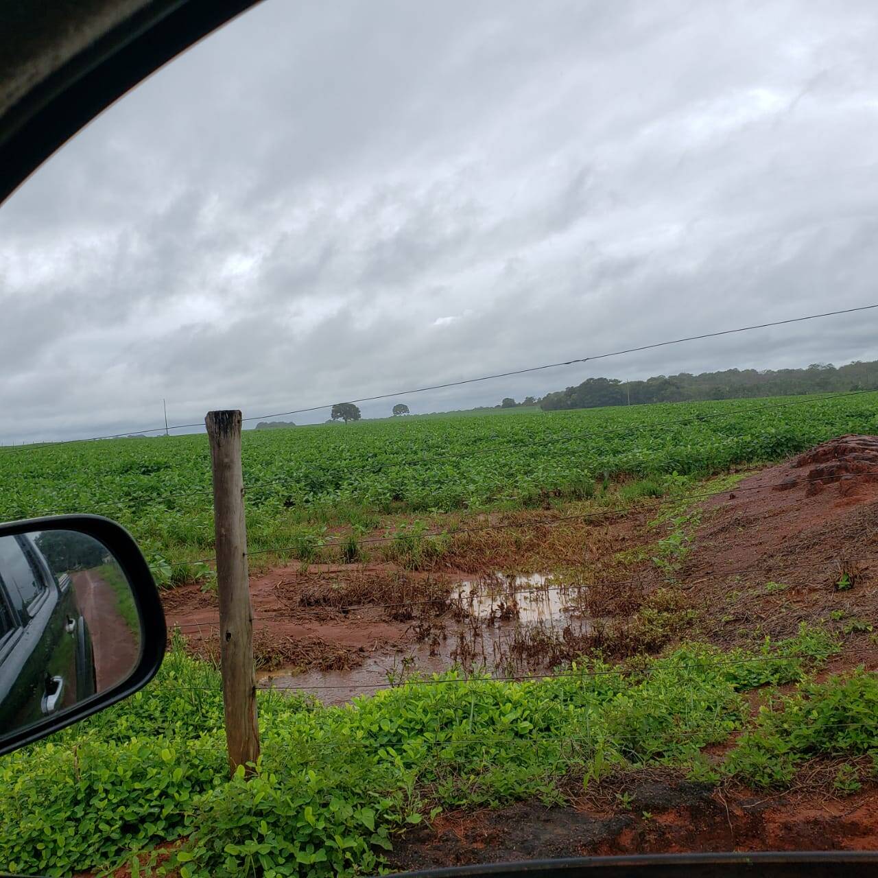 Fazenda em Araguaçu - TO 3