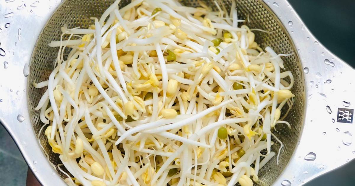 Giá đậu xanh làm bằng cát