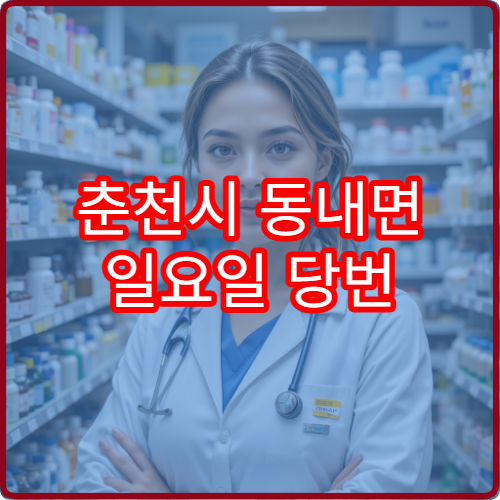 춘천시 동내면 일요일 당번 약국 영업 여부 빠르게 확인