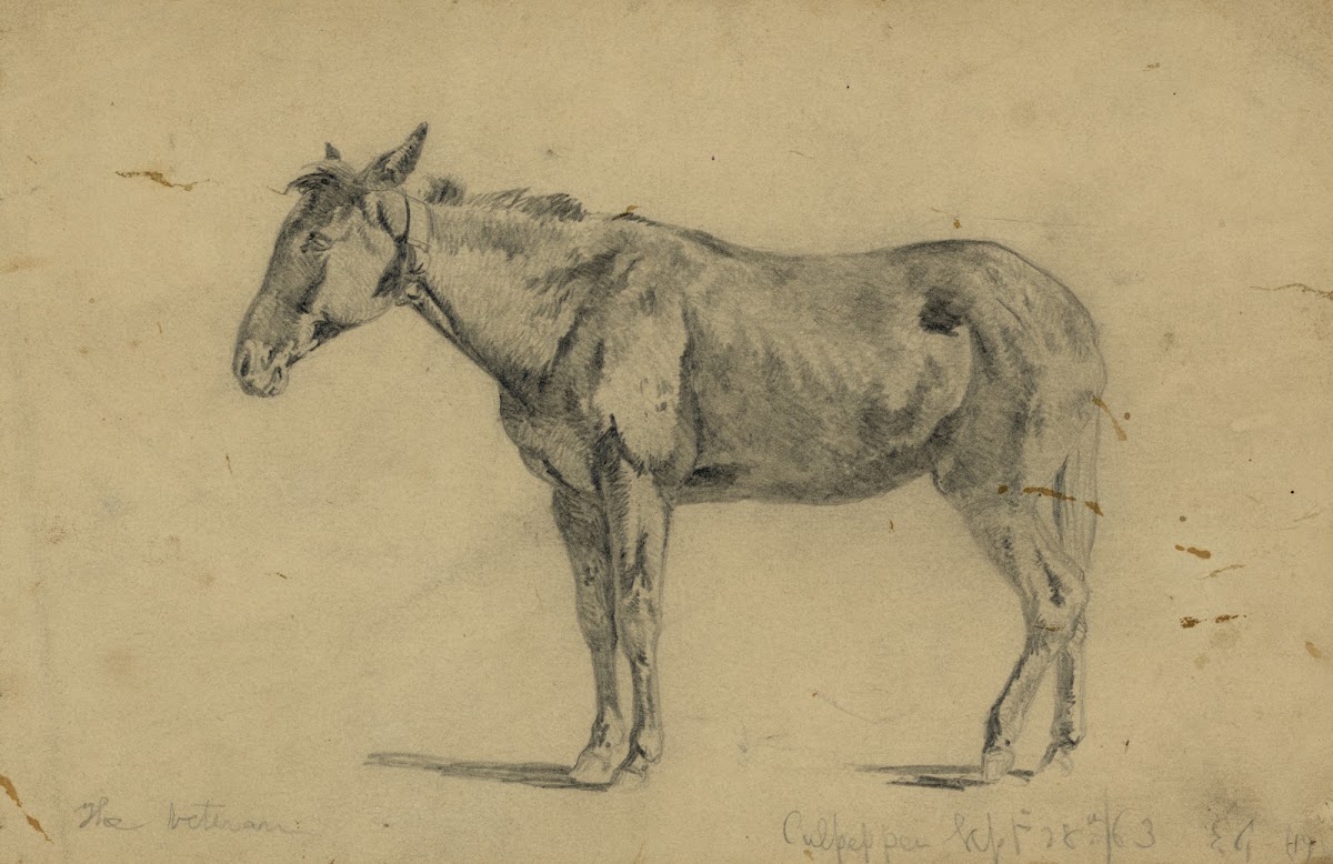 The veteran 1863