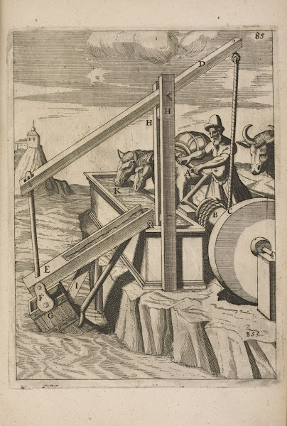 Fig XXCV Haustrum 1662