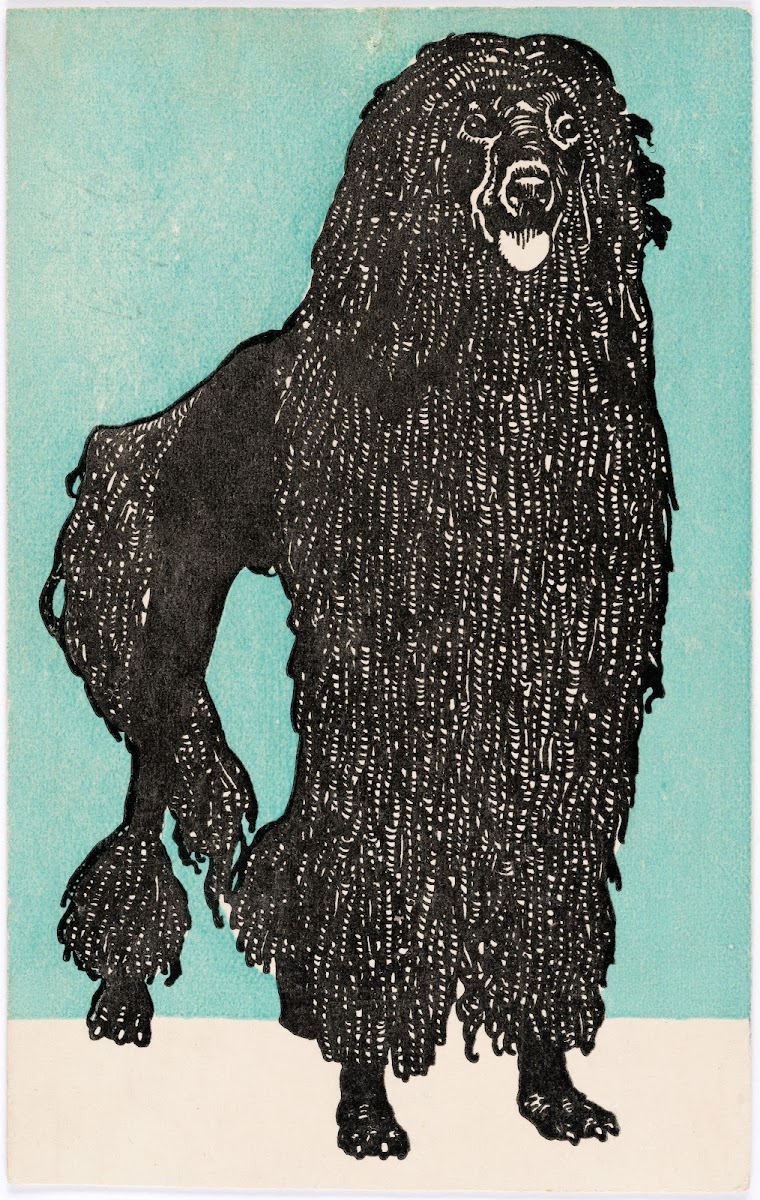 Nr 676 Pudel 1912