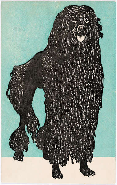 Nr 676 Pudel 1912