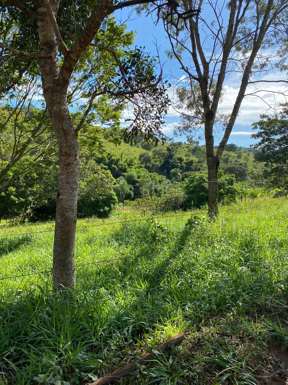 Fazenda em Uruaçu - GO 10