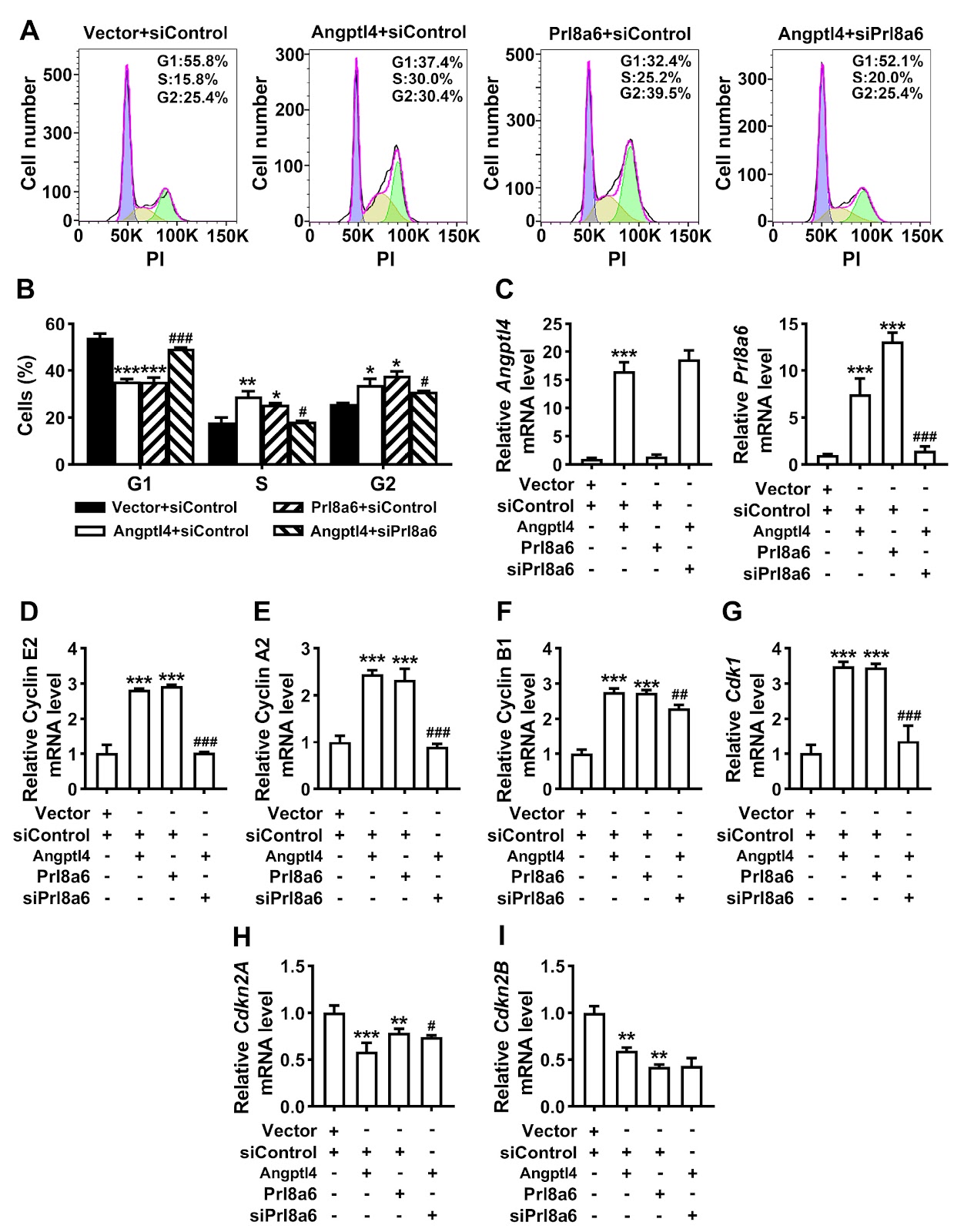 Angptl4 is upregulated by microenvironmental factors during the wound healing process and promotes epidermal stem cell proliferation via PRL8a6