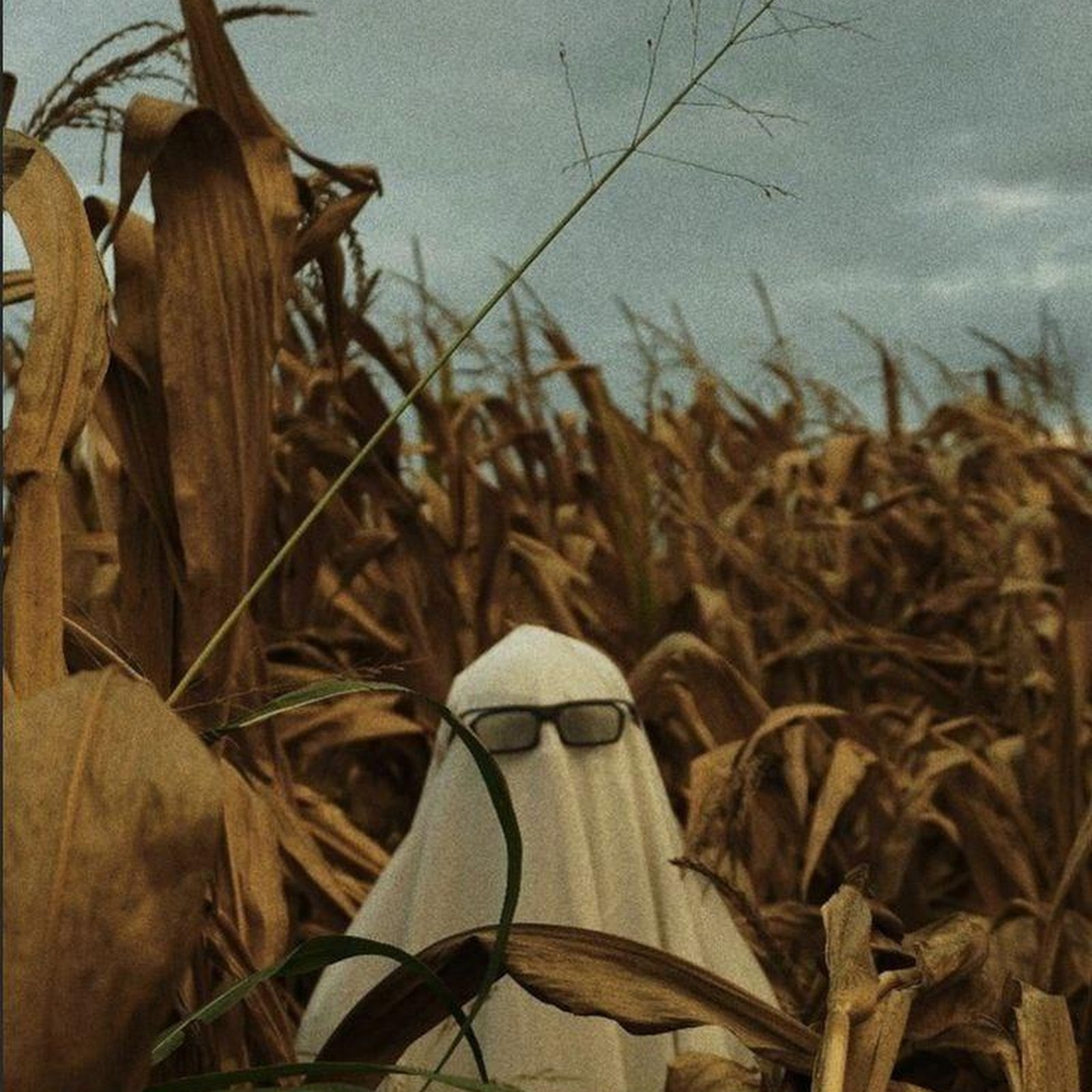 Download Ghost In The Cornfield iPhone