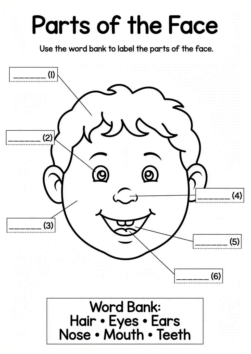 Parts of the Face