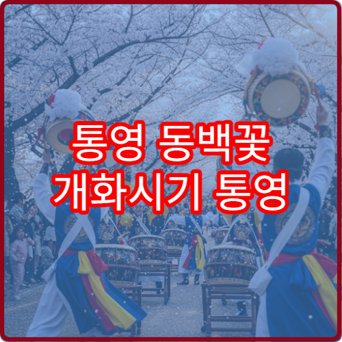 통영 동백꽃 개화시기 통영 봄꽃 절정 예상