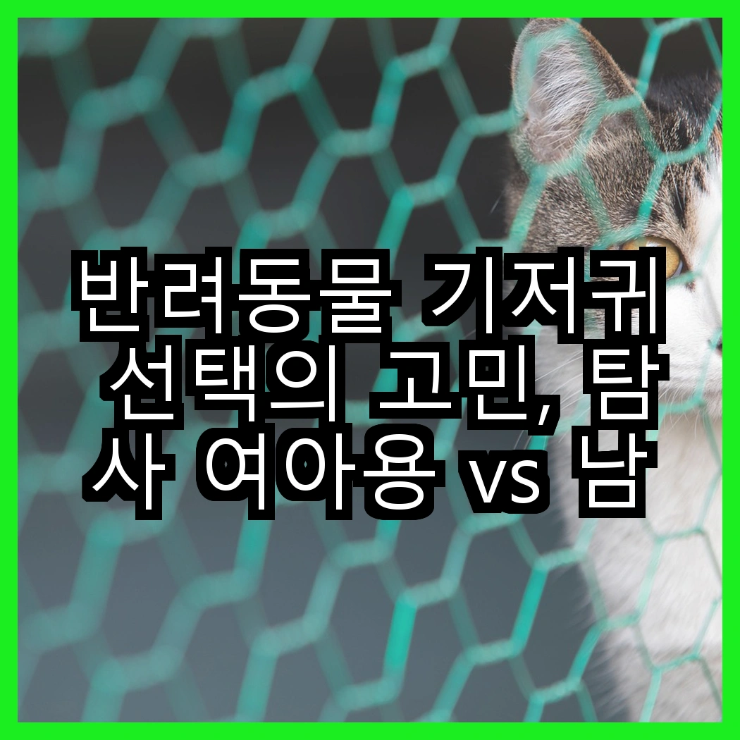 반려동물 기저귀 선택의 고민, 탐사 여아용 vs 남아용 기저귀, 어떤 차이가 있을까? 썸네일
