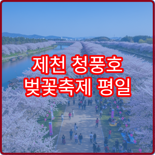 제천 청풍호 벚꽃축제 평일 점심시간 방문 최적 루트 정리