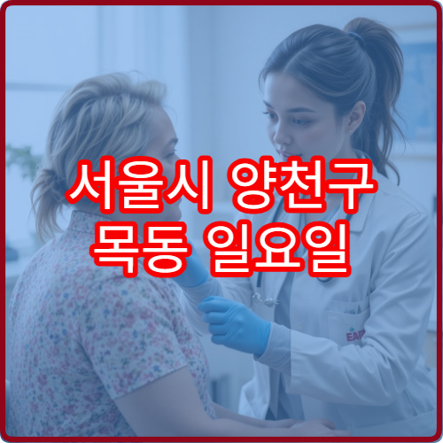 서울시 양천구 목동 일요일 진료 가능한 안과 눈 불편 증상 상담 가능 내용