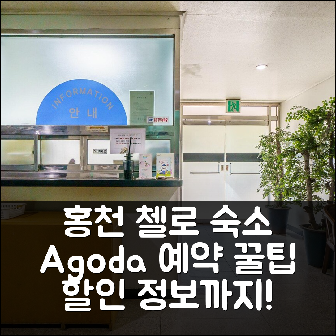 홍천 첼로: 홍천 인기 숙소 예약 후기 앤 할인 꿀팁! - 아고다 호텔 추천