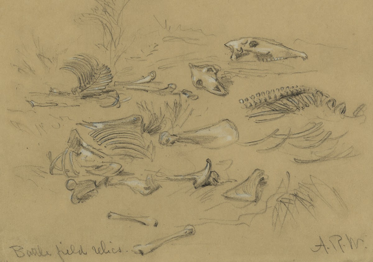 Battle field relics 1860 1865