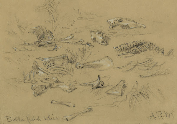 Battle field relics 1860 1865