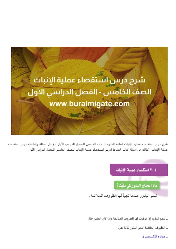 صورة الغلاف