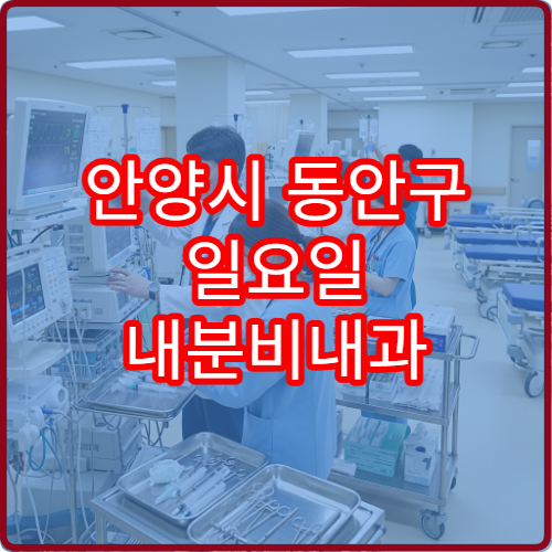 안양시 동안구 일요일 내분비내과 진료 병원 당뇨·갑상선 상담 가능