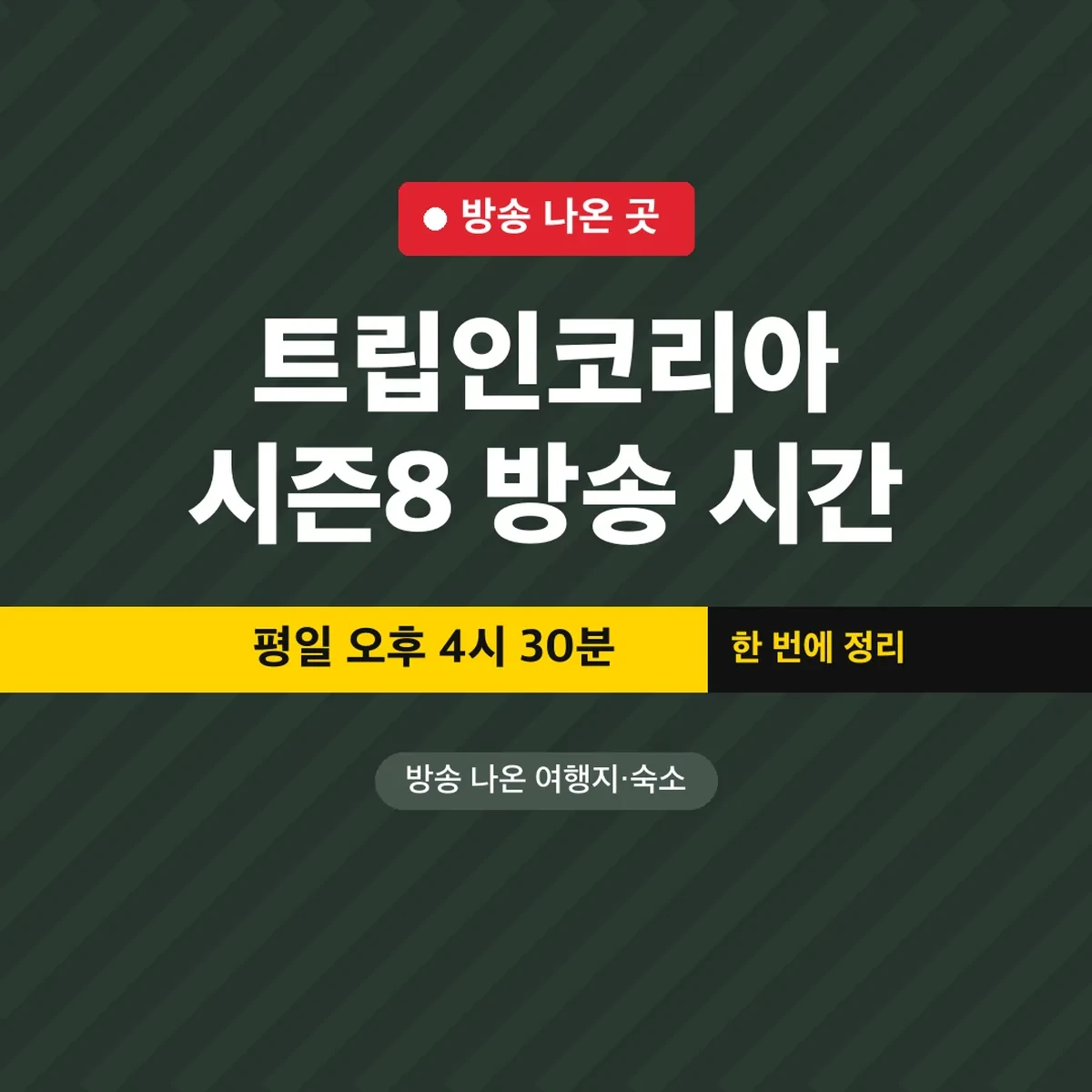 트립인코리아 시즌8 방송 시간, 평일 오후 4시 30분