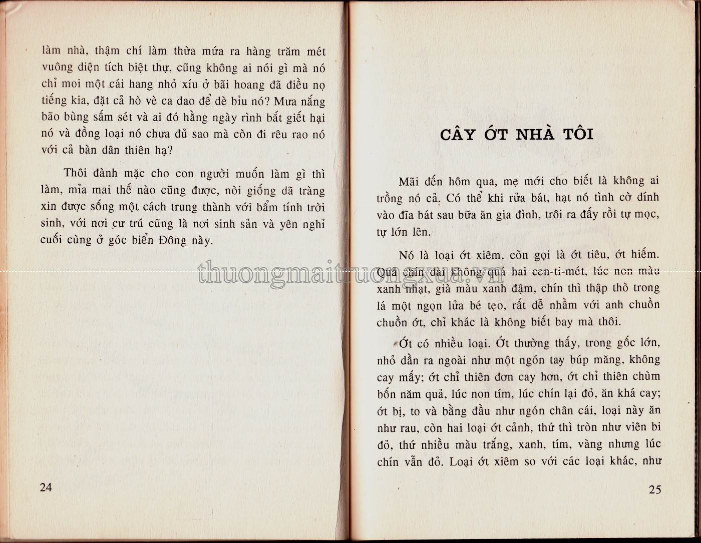 Cây gạo làng tôi (1998) - Trang 13