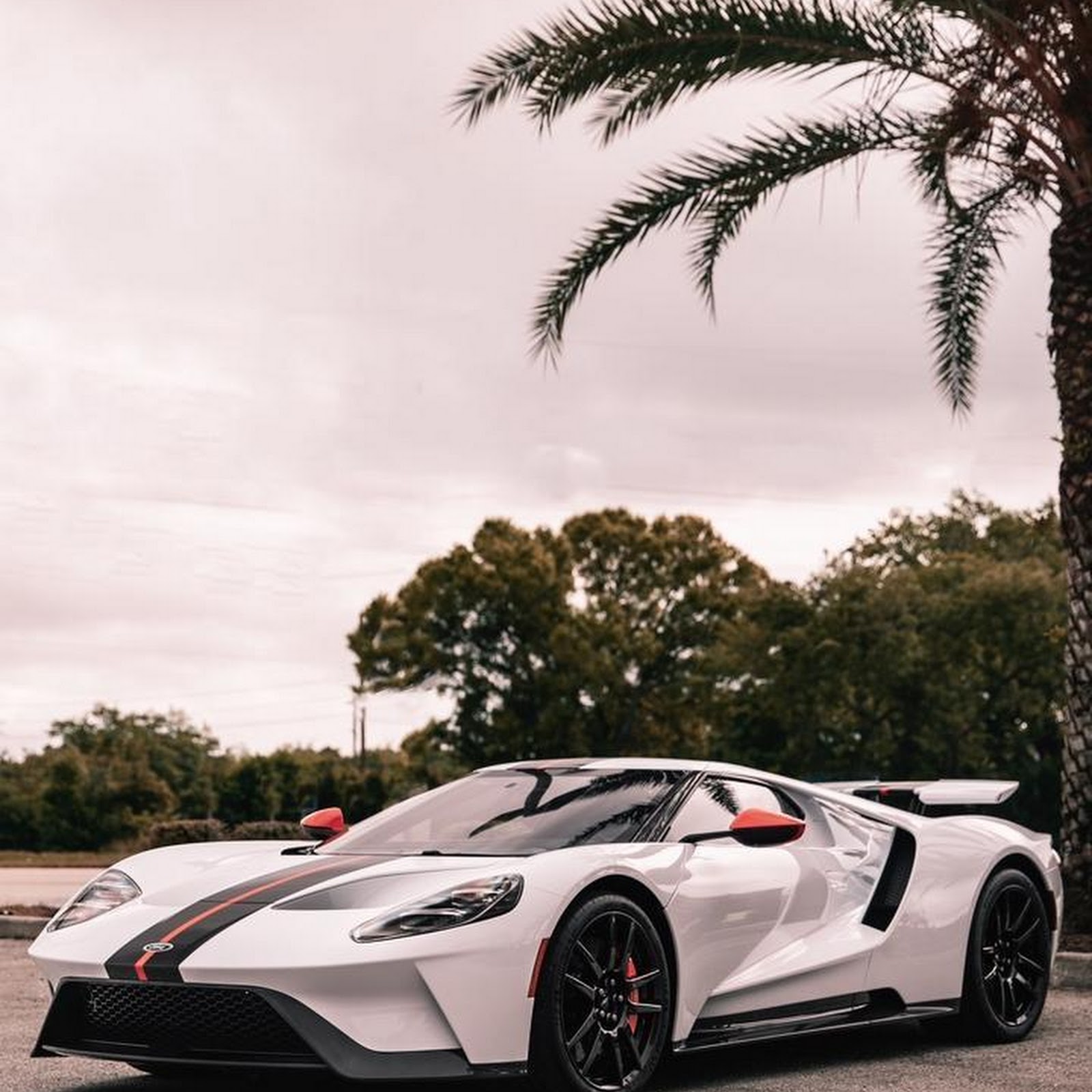 Download White Ford GT Supercar iPhone