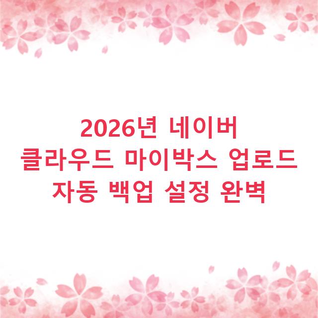 2026년 네이버 클라우드 마이박스 업로드 자동 백업 설정 완벽