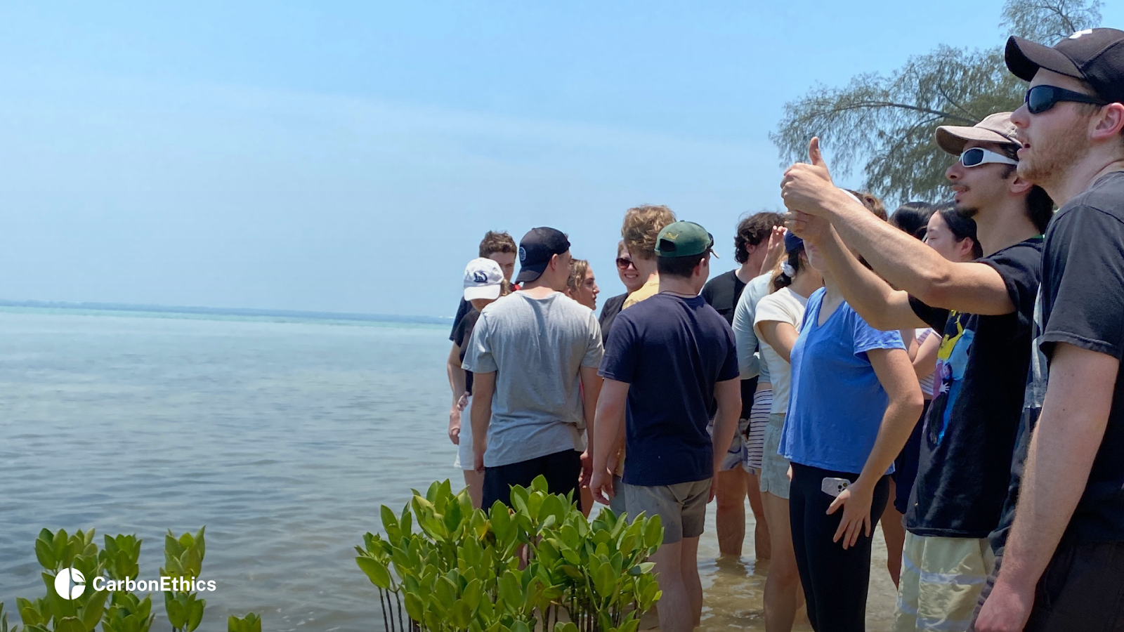 CarbonEthics' clients are enjoying their time in the coastal ecosystem.