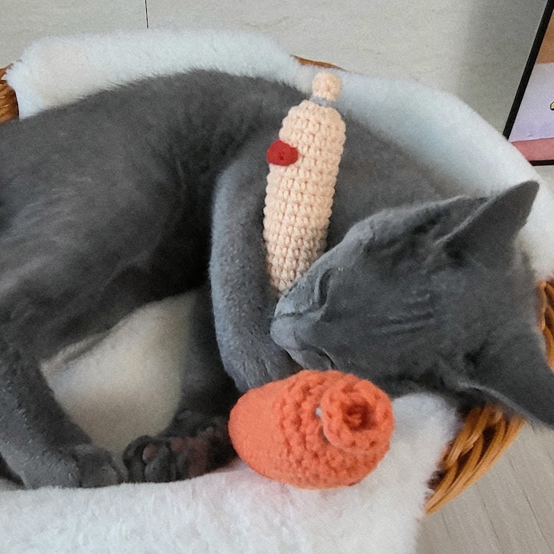 제이공방 - 단순한 소비를 넘어: 2026년, 당신의 라이프스타일에 '진정성'을 더하는 법은? image 5