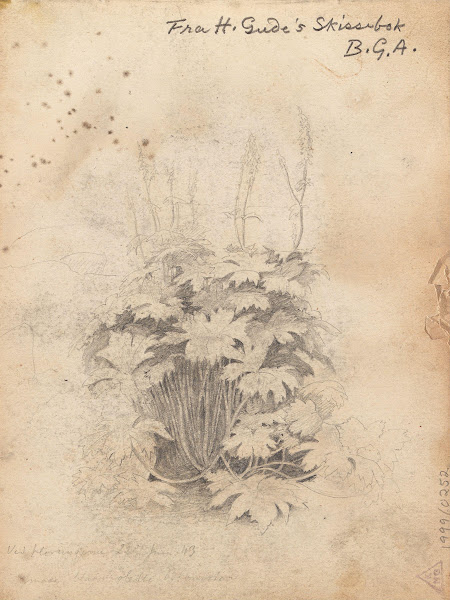 Plantestudie ved Hurrungene 1843