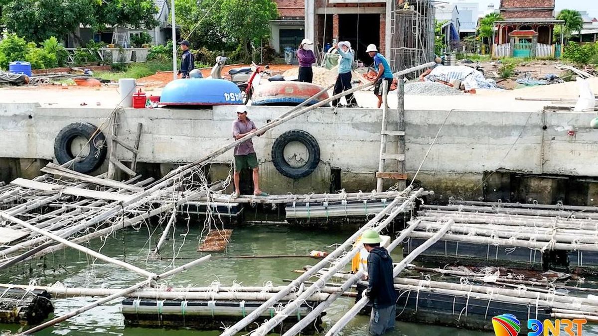 Dự án Nâng cấp khu neo đậu tránh trú bão An Hòa kết hợp cảng cá Tam Quang: Người dân Núi Thành đồng thuận, tự nguyện tháo dỡ lồng nuôi, bàn giao mặt bằng - Báo Đà Nẵng