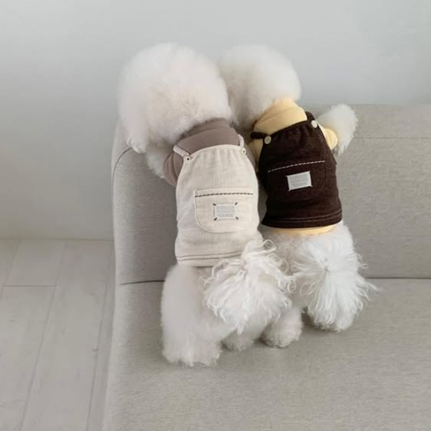 Dog strap dress made of corduroy, with pocket